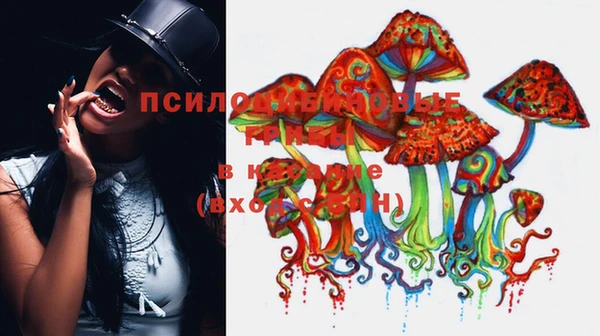 крисы Медногорск