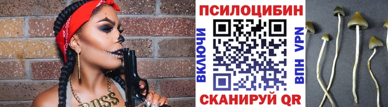 продажа наркотиков Калининград Галлюциногенные грибы Magic Shrooms